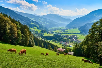 Zillertal